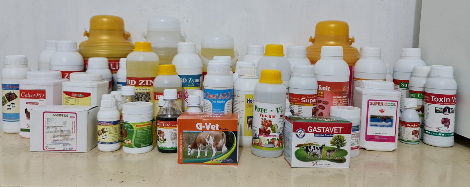 All products photo together